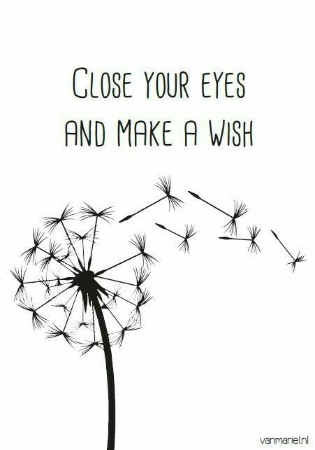 Handlettering Quotes, A Dandelion, 자수 디자인, Close Your Eyes, Make A Wish, The Words, Your Eyes, Words Quotes, Hand Lettering