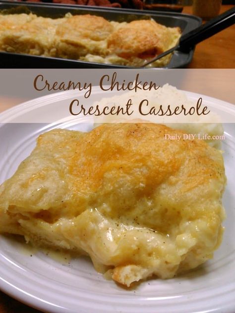 Chicken And Crescent Rolls, Crescent Casserole, Homemade Cream Of Chicken Soup, Homemade Cream Of Chicken, Crescent Roll Recipes Dinner, Recipes Using Crescent Rolls, Chicken Crescent, Crescent Recipes, Crescent Roll Recipes