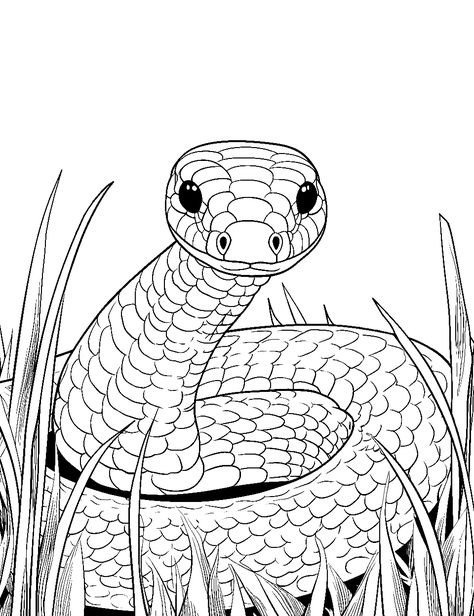 Snake in the Grass: A fierce snake steadily waiting in tall grass for its prey to come. (Free Printable Coloring Page for Kids) Snake Coloring Pages, Snake In The Grass, Frog Coloring Pages, Cute Snake, Horse Coloring Pages, Butterfly Printable, Thanksgiving Coloring Pages, Dog Coloring Page, Dinosaur Coloring Pages