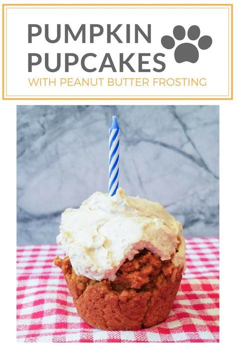 Up your puppy PAWty with these easy grain free peanut butter pumpkin pup cake recipe with a two-ingredient peanut butter frosting.  Cupcakes have gone to the dogs! #grainfree  #treat #dogs #pupcake #pumpkin #peelwithzeal #peanutbutter peelwithzeal.com Dog Safe Cake Recipe, Cupcakes For Dogs Recipe, Pupcake Recipe, Dogs Cake, Dog Birthday Cake Recipe, Frosting Cupcakes, Puppy Pawty, Dog Cake Recipes, Dog Cupcakes