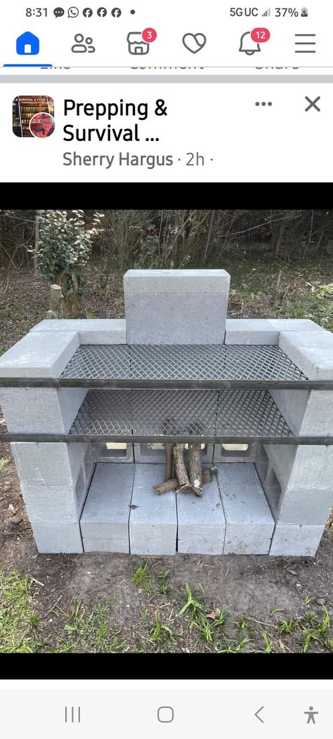 Block Fire Pit, Cinder Block Fire Pit, Backyard Birds Sanctuary, Pallet Garden, Cinder Block, Backyard Makeover, Backyard Birds, Concrete Blocks, Outdoor Ideas