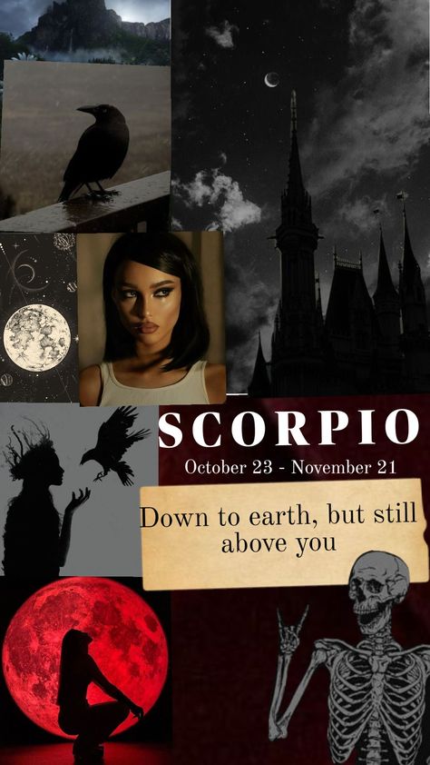 #scorpio #zodiac Scorpio Season Aesthetic Wallpaper, Scorpio Phone Wallpaper, Scorpio Moon Aesthetic Wallpaper, Zodiac Scorpio Aesthetic, Scorpio Rising Aesthetic, Scorpio Dark Aesthetic, Scorpio Collage Wallpaper, Leo And Scorpio, Sun Aesthetic