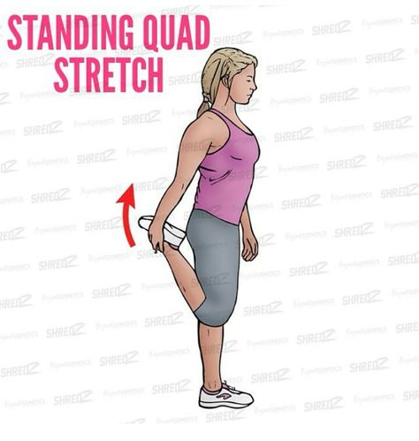 STANDING QUAD STRETCH Standing Quad Stretch, Quad Stretch, Job Interviews, Stretching Exercises, Legs Day, Job Interview, Stretching, Get Fit, Quad