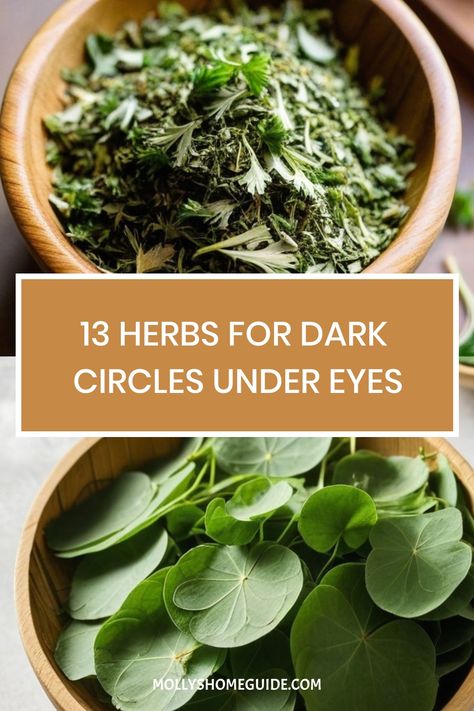 Discover the power of natural remedies for dark circles under eyes with herbs, essential oils, and other ingredients. Treat dark circles effectively with homemade under eye cream using almond oil, rose water, or aloe vera. Consider incorporating green tea or cucumber into your skincare routine for brighter eyes. Experiment with the best oils like rosehip oil and coconut oil to reduce puffiness and rejuvenate your under-eye area. Why Do I Have Dark Circles Under My Eyes, Aloe Vera For Dark Circles Under Eyes, For Dark Circles Under Eyes, Remedies For Dark Circles, Essential Oil Roller Bottle Blends, Brighter Eyes, Homemade Eye Cream, Dark Circle Remedies, Roller Bottle Blends