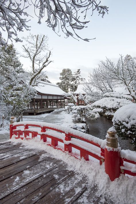 Christmas In Japan, Snow In Japan, Tokyo Winter, Japan Honeymoon, Winter In Japan, Beautiful Places In Japan, Japan Winter, Japan Landscape, Japan Aesthetic