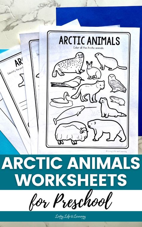 These Arctic Animals Worksheets for Preschool are a great way to engage your kids in learning about the incredible creatures that inhabit the polar regions. With a range of activities that cater to different interests and learning styles, there's something for everyone in this pack. So add these to your homeschool winter curriculum because who knows - your little ones might just discover a new favorite animal! Artic Animals Drawings, Arctic Animals Coloring Pages, Arctic Animals Lesson Plans Preschool, Artic Animal Crafts For Toddlers Easy, Winter Animals Coloring Pages, Preschool Artic Animals Activities, Artic Animals Arts And Crafts, Artic Animals Crafts For Toddlers, Polar Animals Preschool Activities