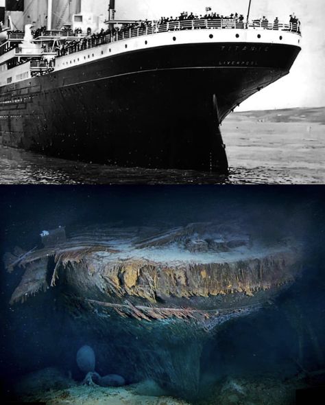 Titanic Boat, 1912 Titanic, Titanic Underwater, Real Titanic, Titanic Wreck, Titanic Photos, Titanic Sinking, Titanic Facts, Ship Wrecks