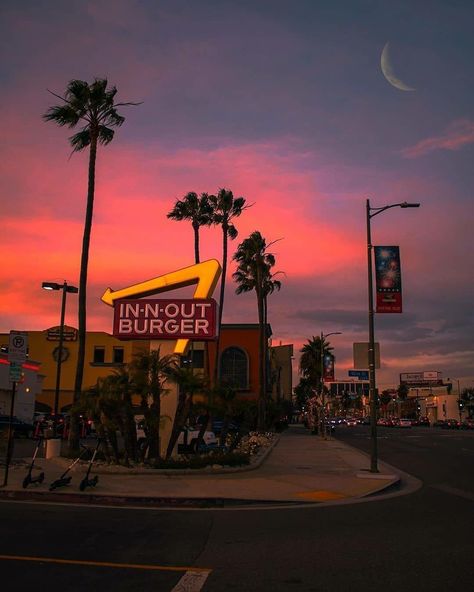 Neon Los Angeles, America Asethic, California City Aesthetic, California Dreaming Aesthetic, Downtown La Aesthetic, California Sunrise, Being Understood, Brad Meltzer, Life In Usa