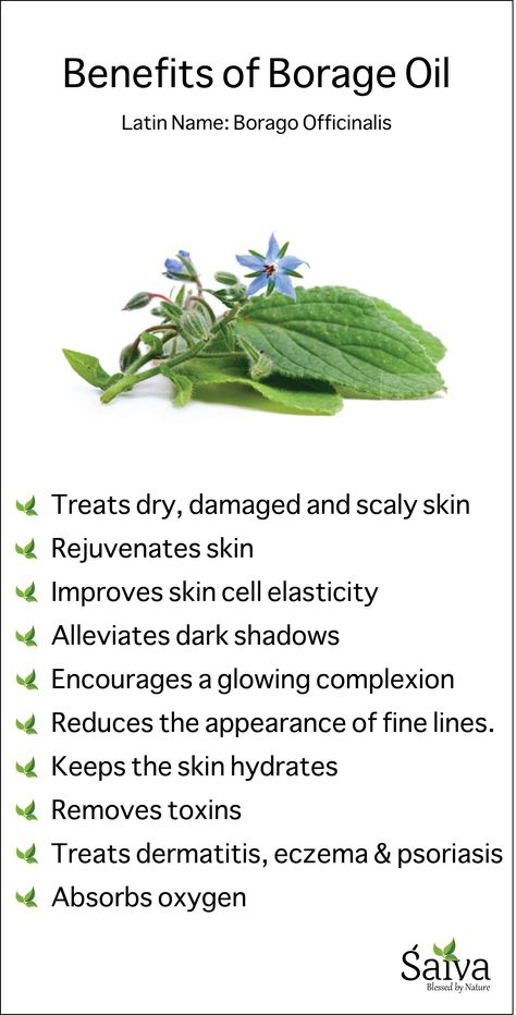 Herbs For Anti Aging, Borage Benefits, Borage Oil Benefits, Natural Anti Aging Skin Care, Magia Das Ervas, Oil For Skin, Borage Oil, Skincare Natural, Natural Anti Aging