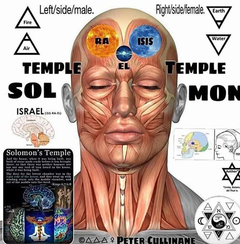 solomons temple Temple Of Solomon, Solomons Temple, Earth Air Fire Water, Water Temple, Ancient History Facts, Sacred Science, African Spirituality, Pineal Gland, Spirit Science