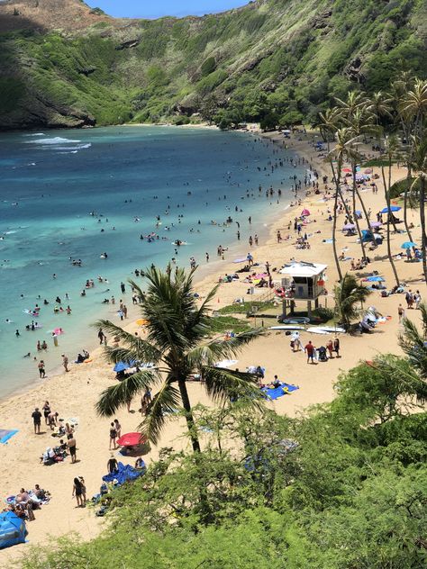 Hanauma Bay Nature Preserve Hanauma Bay Hawaii, Hanauma Bay, Happy Lunar New Year, American Road Trip, Nature Preserve, In Another Life, Lunar New, South Korea, Oahu