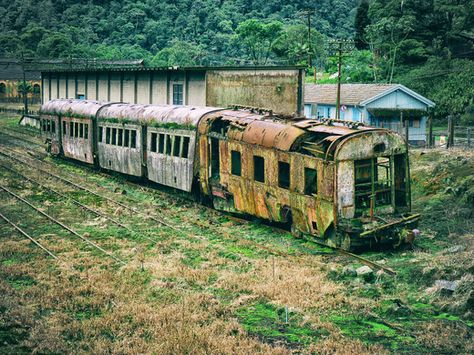 The remains of a British railway rusting in the jungle mist of a Brazilian mountainside. Abandoned Aesthetic, Steam Trains Photography, Abandoned Train Station, Photos Rares, Santo Andre, Old Train Station, Abandoned Train, Railroad Photography, Abandoned House