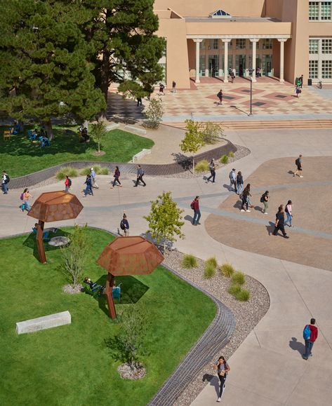 University of New Mexico – Smith Plaza by Surfacedesign « Landscape Architecture Platform | Landezine Campus Landscape Architecture, Campus Landscape, Plaza Design, Paving Pattern, University Of New Mexico, Urban Landscape Design, Architecture Concept Drawings, Hospital Design, Design Master