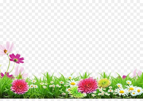 Wallpaper Edgy, Flower Border Png, Flowers Transparent, Flower Png Images, Background Retro, Wallpaper Homescreen, Photoshop Backgrounds Free, Illustration Wallpaper, Wallpaper Retro