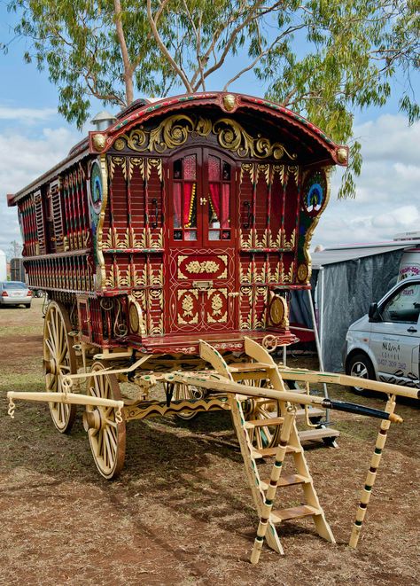 Mini Caravan, Horse Drawn Wagon, Caravan Renovation, Vintage Caravans, Covered Wagon, Horse Drawn, Exterior Decor, House On Wheels, Beautiful Buildings