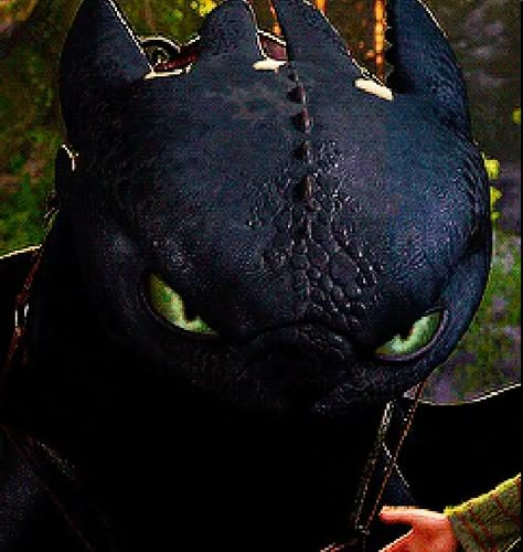 Toothless looks like he's gonna kill Astrid Toothless Pfp Aesthetic, Angry Toothless, Toothless Pfp, Toothless Icon, Toothless Eyes, Toothless Wallpaper, Httyd Toothless, Toothless Night Fury, Night Fury Dragon