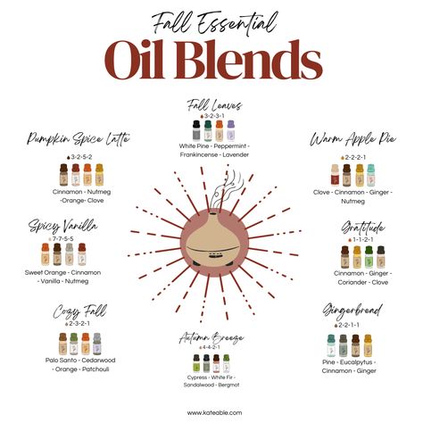 12 Fall Essential Oil Blends Recipes - Fragrance Oil Recipes, Fall Essential Oil Blends, Essential Oil Perfume Blends, Fall Essential Oils, Essential Oil Combinations, Home Smell, Essential Oil Blends Recipes, Essential Oil Mixes, Oil Mix