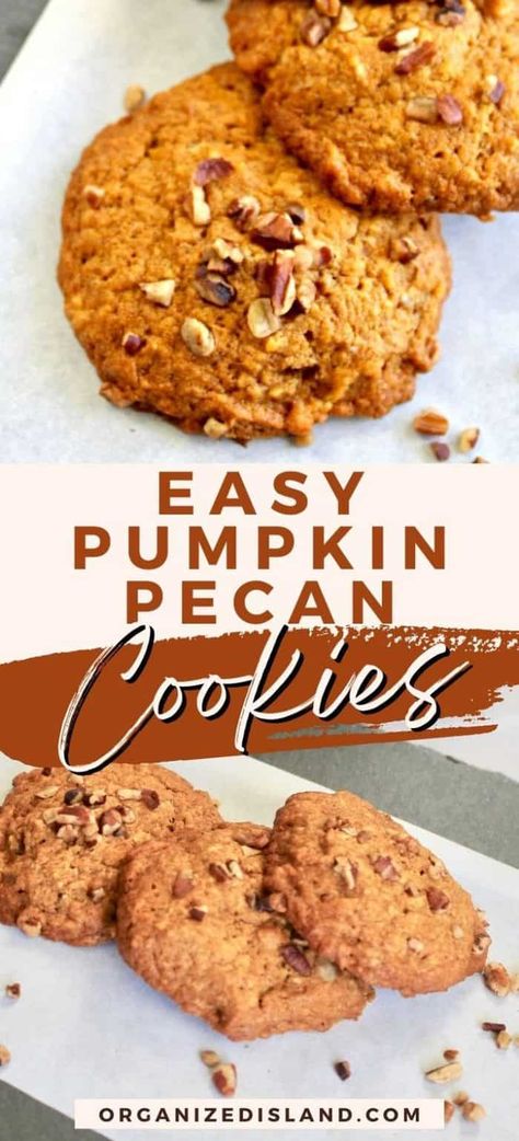 Recipe for Soft Pumpkin Cookies. A soft cake-like cookie made with canned pumpkin, butter and pecans that is like the taste of fall in a cookie. Soft Pumpkin Cookies, Oatmeal Raisin Cookies Chewy, Healthy Cheesecake, Dessert Recipies, Makeup Images, Pumpkin Desserts, Dessert Bites, Pecan Cookies, Pumpkin Recipes Dessert