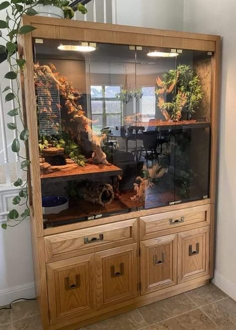 Cool Lizard Terrarium, Reptile Room Inspiration, Custom Snake Enclosures, Lizard Tank Ideas, Snake Cage Ideas, Diy Reptile Enclosure Furniture, Bearded Dragon Terrarium Ideas Tanks, Snake Tank Ideas, Diy Snake Enclosure