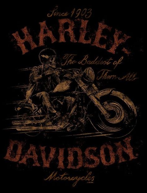 Devil Art, Harley Davidson Merchandise, Harley Davidson Images, Harley Davidson Posters, Hd Designs, Harley Davidson Sportster 883, Harley Davidson Artwork, Harley Davidson Wallpaper, Apparel Design Inspiration