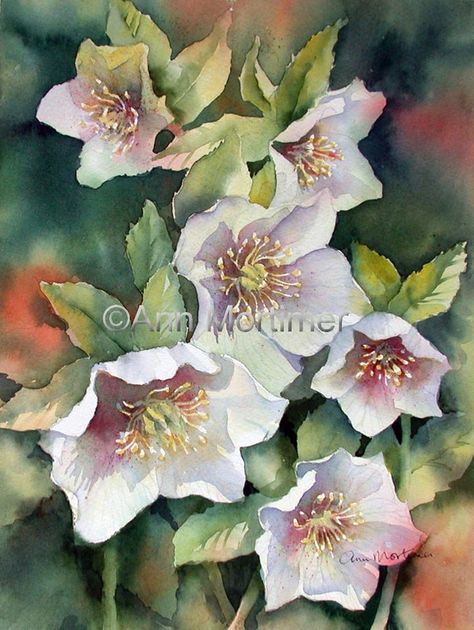 Ann Mortimer, Abstract Watercolor Paintings Tutorials, Pineapple Drawing, Abstract Tree Painting, Lenten Rose, Getting Over, Watercolor Projects, 수채화 그림, Watercolor Flowers Paintings