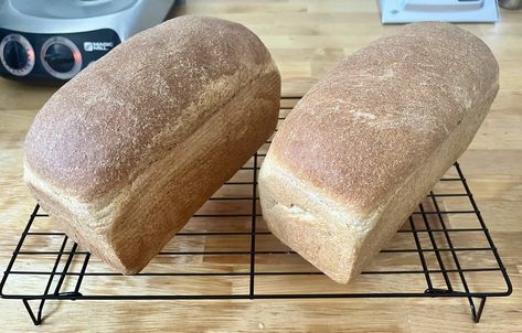 Easy Whole Wheat Sandwich Bread (No Additives Needed) Lovely Bell Bakes, Wheat Tortillas, Baked Sandwiches, Overnight Recipes, Wheat Bread Recipe, Bread Soft, Homemade Sandwich, Sourdough Sandwich, Real Bread