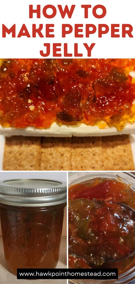 Pepper jelly is one of the greatest jelly recipes This sweet and spicy pepper jelly recipe is an easy recipe and results in such a delightful and delicious jelly. The pepper jelly is so wonderful to serve at any get-together. Pair it with cream cheese and crackers and no one can resist! Also great as a glaze on pork, lamb, beef or chicken!  Pepper jelly also makes a great gift for any occasion. You can also control the spice level and make it super spicy or mild. Thai Pepper Jelly, Easy Pepper Jelly Recipe No Pectin, Spicy Pepper Jelly Recipe, Hot Pepper Jelly Recipe Cream Cheeses, Keto Pepper Jelly Recipe, Mild Pepper Jelly Recipe, Christmas Pepper Jelly, Easy Hot Pepper Jelly Recipe, Banana Pepper Jelly Recipe