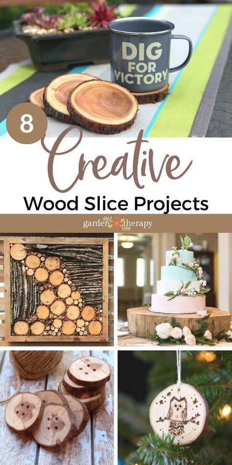 Wooden Slices Crafts, Oak Tree Wood Projects, Diy Tree Trunk Projects Wood Slices, Tree Trunk Slices Ideas, Log Art Ideas Tree Trunks, Things To Make With Wood Slices, Cut Down Tree Ideas, Tree Rounds Crafts Wood Slices, Tree Rounds Ideas