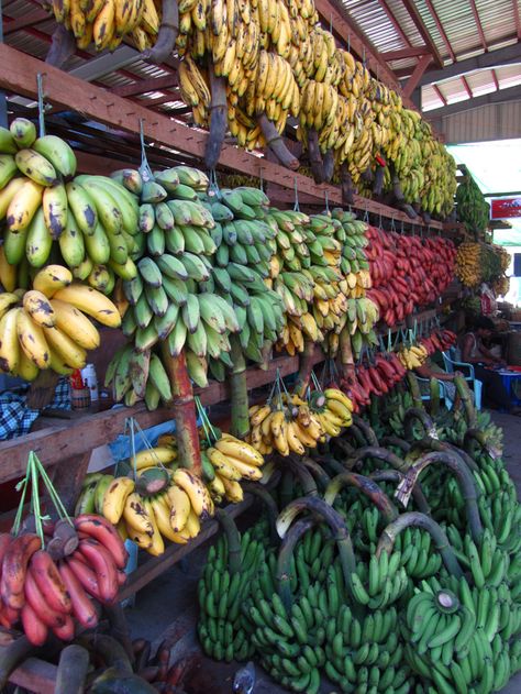 Thiri Mingalar market bananas Banana Shop, Godzilla Monsters, All Godzilla Monsters, Banana Fruit, Burma Myanmar, Fresh Market, Yangon, Best Supplements, Burmese