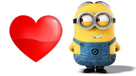 Please like and follow me if you love minions or if you hate them or if you dont  know what they are Minion Love, Minions Love, Happy Happy Happy, Funny Valentine, Love Valentines, If You Love, Minion, Follow Me, Merry Christmas