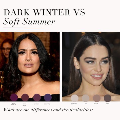 Dark Winter VS Soft Summer comparison 🖤 ⁠ .⁠ #coloranalysis #colouranalysis #softsummer #darkwinter #deepwinter #winterpalette #summerpalette #coloranalyst Soft Summer Color Palette Makeup, Summer Color Palette Makeup, Zyla Summer, True Winter Palette, Soft Summer Makeup, Deep Winter Palette, Soft Summer Palette, Soft Summer Color Palette, Deep Winter Colors