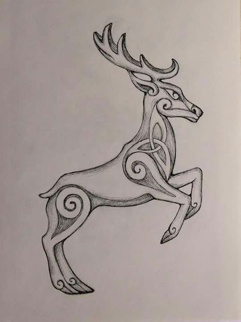 Celtic Stag, Medieval Animals, Stag Tattoo, Embroidery Lessons, Drawing Examples, Irish Design, Tattoo Style Drawings, White Stag, Step Drawing