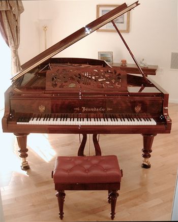 Bosendorfer Model 290 Bosendorfer Piano, Cool Violin, Instrument Art, Cool Violins, Baby Singing, Antique Piano, Piano Decor, Bubble Fun, Instruments Art