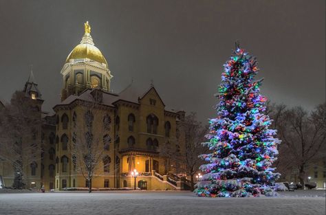 Notre Dame Apparel, Notre Dame Campus, Notre Dame Indiana, Snowy Pictures, Saint Marys College, Life After High School, Go Irish, Twas The Night Before Christmas, Notre Dame Football