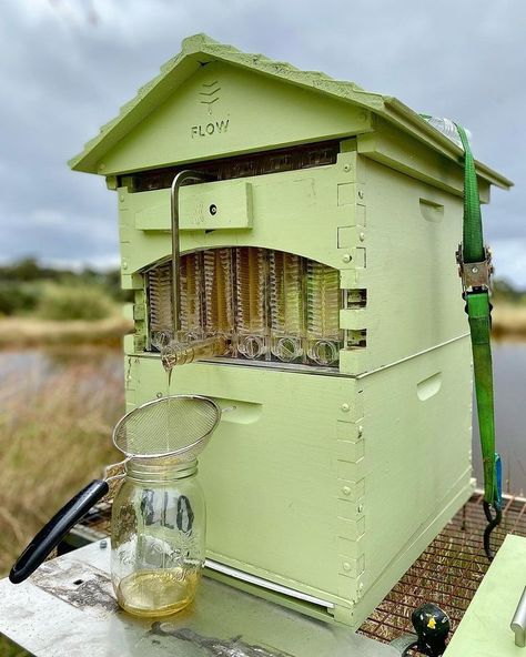 Flow Hive Bee Keeping Aesthetic, Bee Keeping For Beginners, Apiary Design, Diy Beehive, Flow Hive, Future Farms, How Do I Get, Bee Keeping, Bee Hive