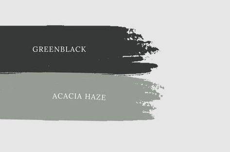 What goes with Sherwin Williams Greenblack? Sw Greenblack Coordinating Colors, Greenblack Sherwin Williams Accent Wall, Sw Green Black, Green Black Sherwin Williams, Greenblack Sherwin Williams, Sherwin Williams Greenblack, Black Sherwin Williams, Deep Green Paint, Essex Green