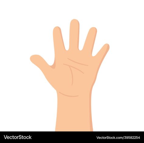 Human Body Parts, Five Fingers, Human Hand, The Palm, Transparent Png, High Res, Png Images, Adobe Illustrator, Print On Demand