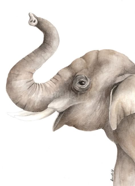 Watercolour Elephant, Watercolour Animals, Nursery Artwork, Drawing Tutorials For Beginners, Elephant Drawing, Bday Gift, Watercolor Elephant, Nursery Paintings, Elephant Painting