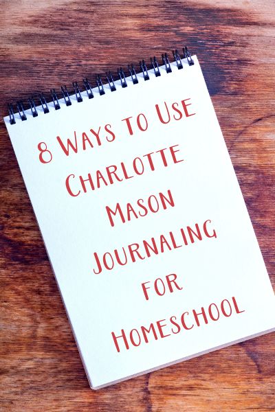 Homeschool Journaling, High School Homeschool, Charlotte Mason Homeschool, Create A Comic, Homeschool Writing, Homeschool High School, Love Journal, Living Books, Charlotte Mason