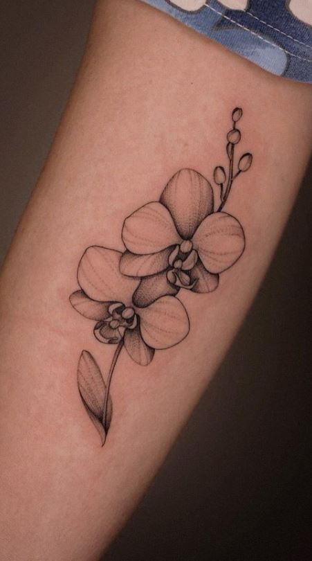 Small Orchid Tattoo Design, Tattoo Ideas Female Orchid, Orchid Sunflower Tattoo, Orchid Tattoo Ankle, Flower Tattoos Orchid, Orchid Flower Tattoo Designs, Orchid Chest Tattoo, White Nun Orchid Tattoo, Black And White Orchid Tattoo