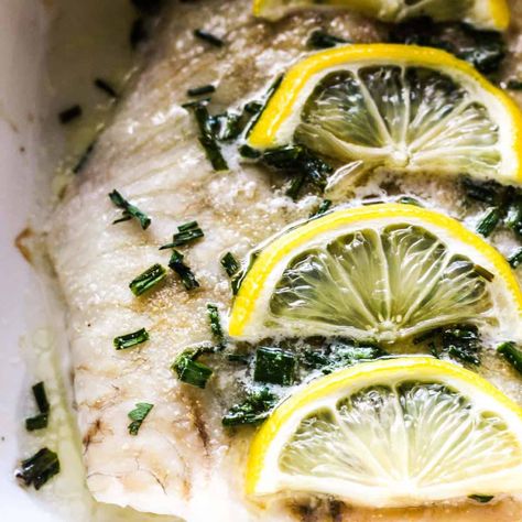 Baked fluke has a mild and delicate texture. It pairs so well with chives and lemon butter! Try this easy 15 minute recipe today! Fluke Recipes Fish, Fluke Recipes, Chives Recipe, Dinner Choices, 15 Minute Meals, Lemon Butter, Oven Cooking, Oven Recipes, Top Recipes