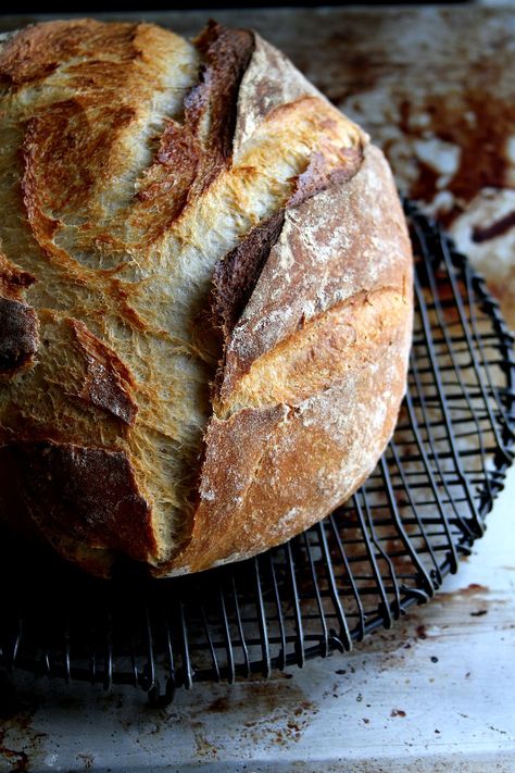 Everyday Sourdough Boule – A Cup of Sugar … A Pinch of Salt Stuff To Learn, Everything Sourdough, Sourdough Boule, Recipe Using Sourdough Starter, Big Spoon, Cast Iron Dutch Oven, The Mistake, Bread Flour, Sourdough Starter