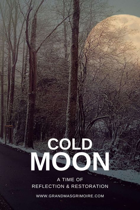 Cold Moon Tarot, Cold Moon 2024, December Full Moon, Moon Gemini, Fool Moon, Tarot Card Artwork, Frost Moon, Cold Moon, Moon Names