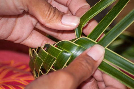 Lauhala Weaving Tutorial, Weaving Leaves, Campground Crafts, Lauhala Weaving, Palm Weaving, Hawaii Lei, Tahitian Costumes, Ori Tahiti, Palm Leaf Art