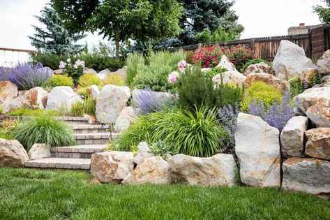 7 Stunning Colorado Backyard Landscaping Ideas and Designs (Photos) 16 Colorado Landscaping Ideas, Colorado Backyard, Zero Scape, Full Sun Landscaping, Colorado Landscaping, Colorado Landscape, Indian Paintbrush, Backyard Landscaping Ideas, Landscape Materials