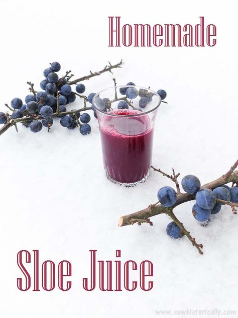 Delicious, healthy juice for free - what's better than that? Homemade sloe juice is easy to make with just two ingredients: sloe berries and water! Sloe Berries Recipes, Block Party Desserts, Juices To Make, Forage Recipes, Cream Desserts Recipes, Sloe Berries, Natural Food Dye, Breakfast Juice, Foraging Recipes