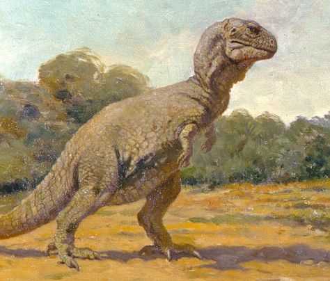 Charles R. Knight Tyrannosaurus Painting Jurassic World Wallpaper, Vintage Dinosaur, Prehistoric Wildlife, Flint Knapping, Dinosaur Drawing, Dinosaur Illustration, Prehistoric World, Prehistoric Art, Paleo Art