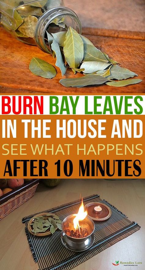 Burn Bay Leaves In The House And See What Would Happen After 10 Minutes! - Sonia Roberts - Medium Bay Leaf Tea, Burn Bay Leaves, Bay Laurel Tree, Burning Bay Leaves, Thigh Workouts, Laurel Tree, Bay Leaves, We Are The World, Trik Fotografi