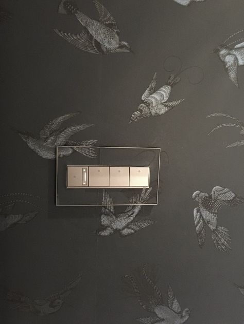 Legrand Adorne switch on wallpaper, covered with wallpaper Switch Boards Design, Modern Light Switches, Designer Light Switches, Antique Mirror Tiles, Light Switches And Sockets, Black Kitchen Island, With Wallpaper, Kitchen Backsplash Designs, Backsplash Designs