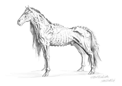 Demon Horse, Armour Design, Scary Farm, Knight Of Wands, Creepy Drawings, Horse Sketch, Farm Art, Cosmic Horror, Horse Drawing